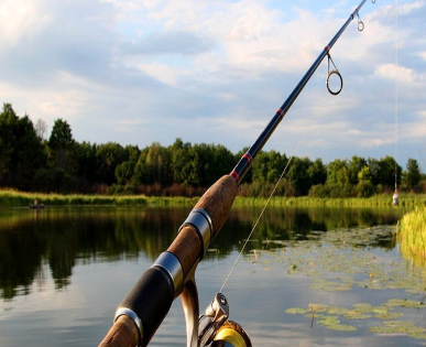 fishing-rod-hire